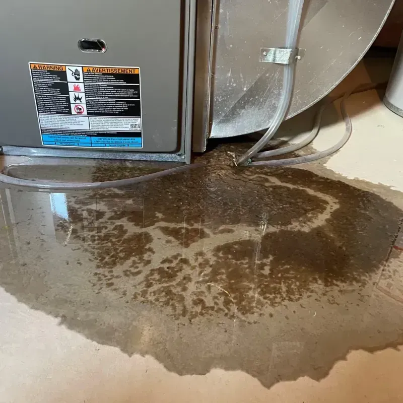 Appliance Leak Cleanup in Rock Creek, AL